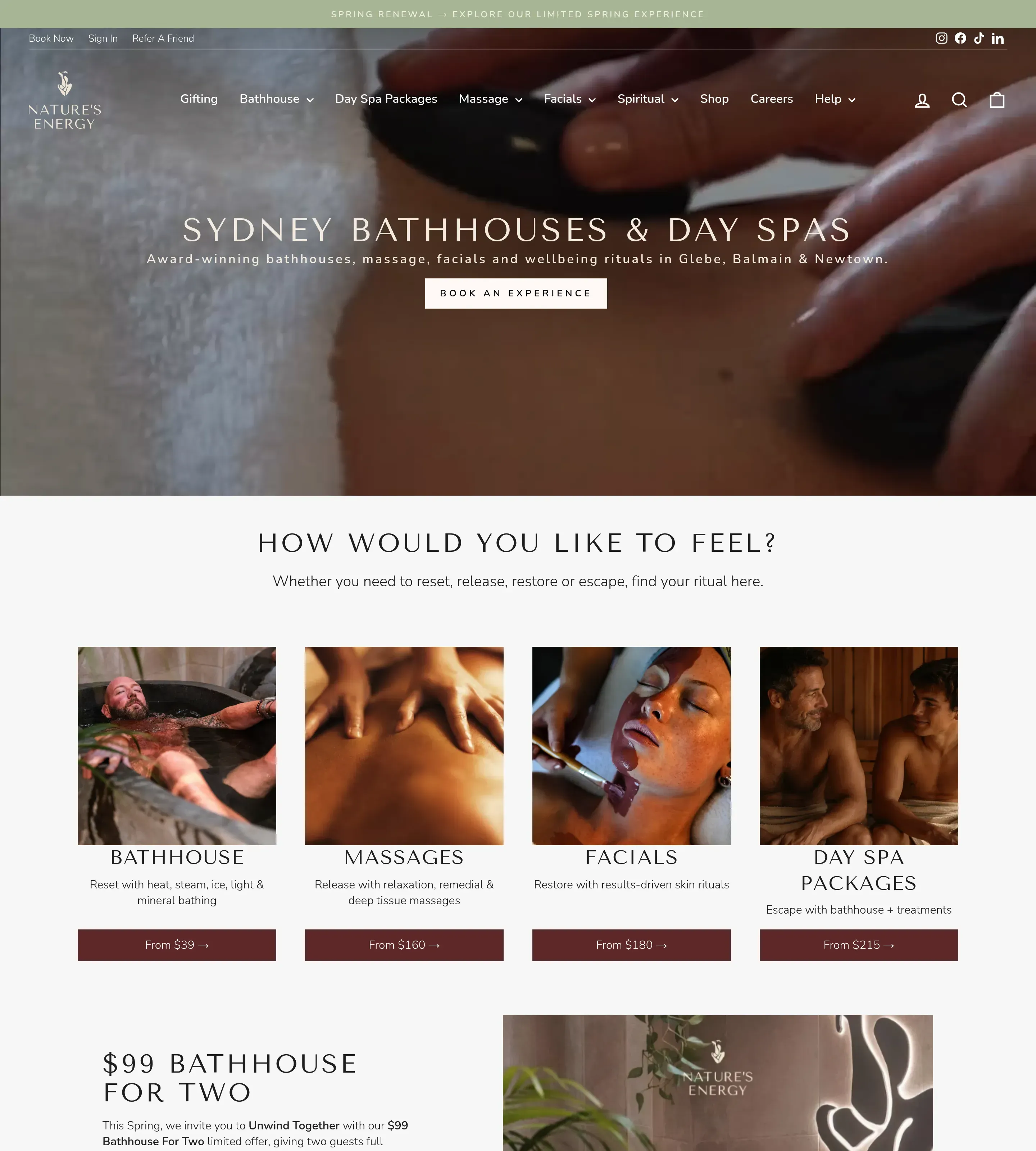 Homepage of Nature's Energy