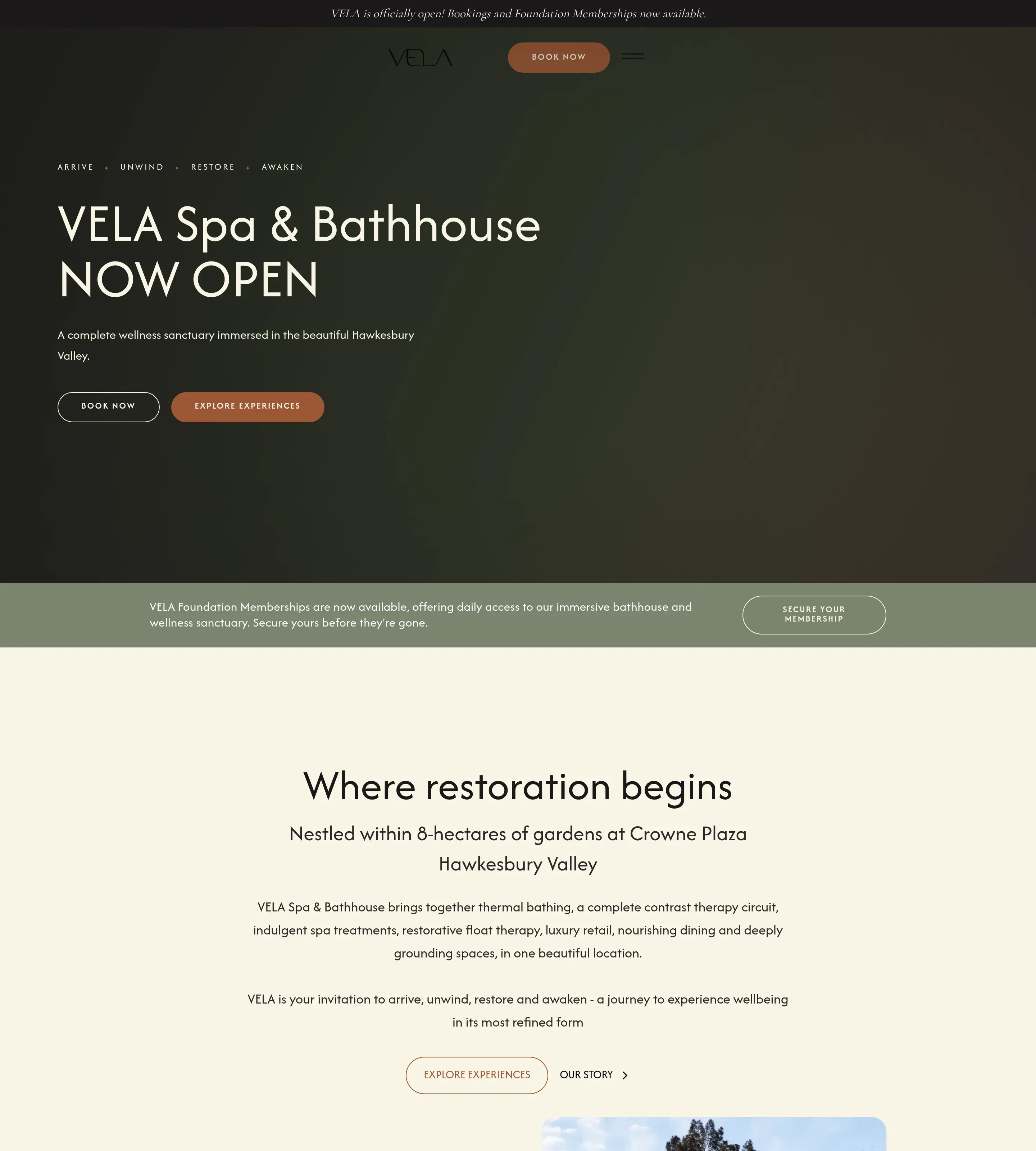Homepage of VELA