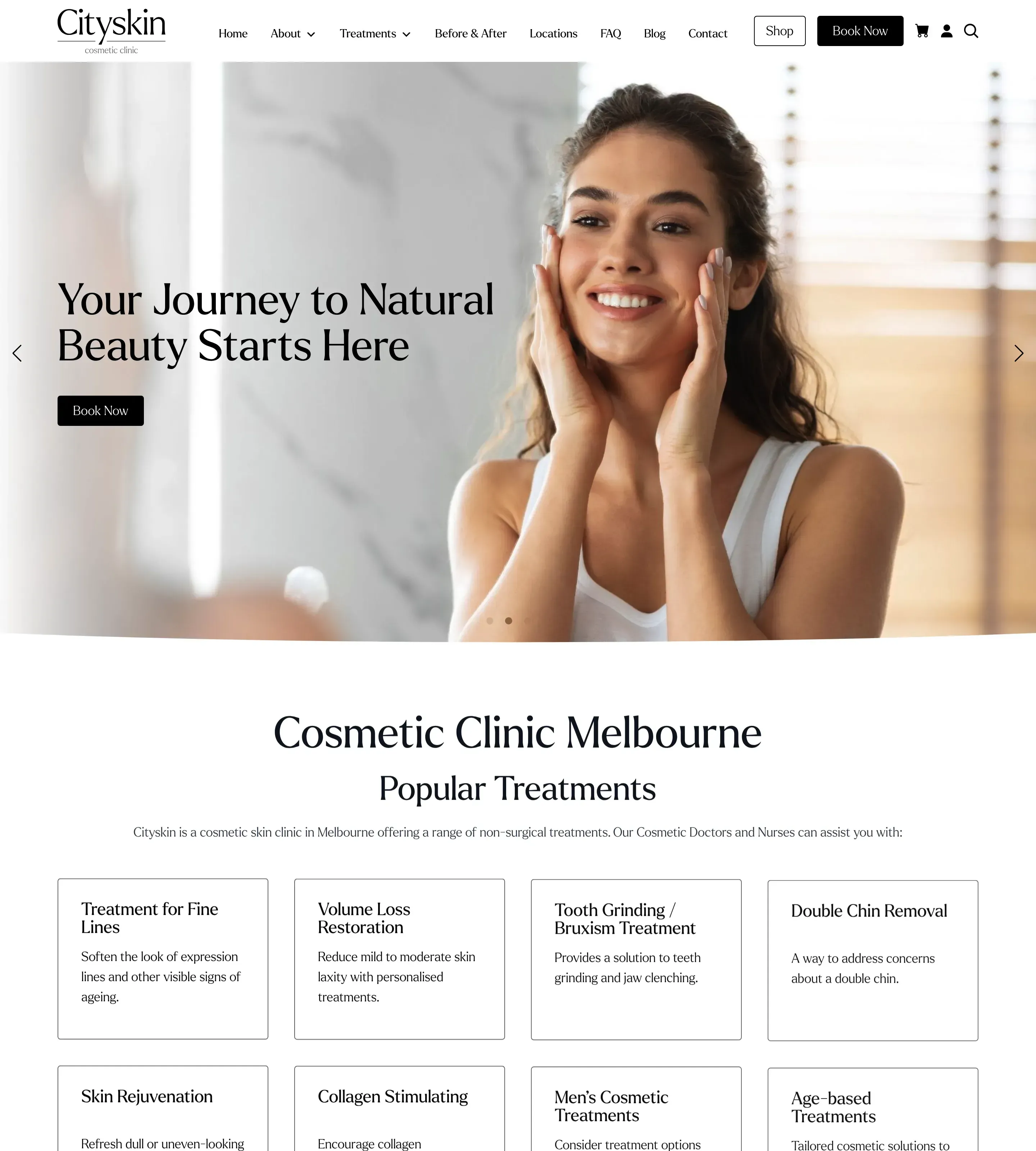 Homepage of City Skin