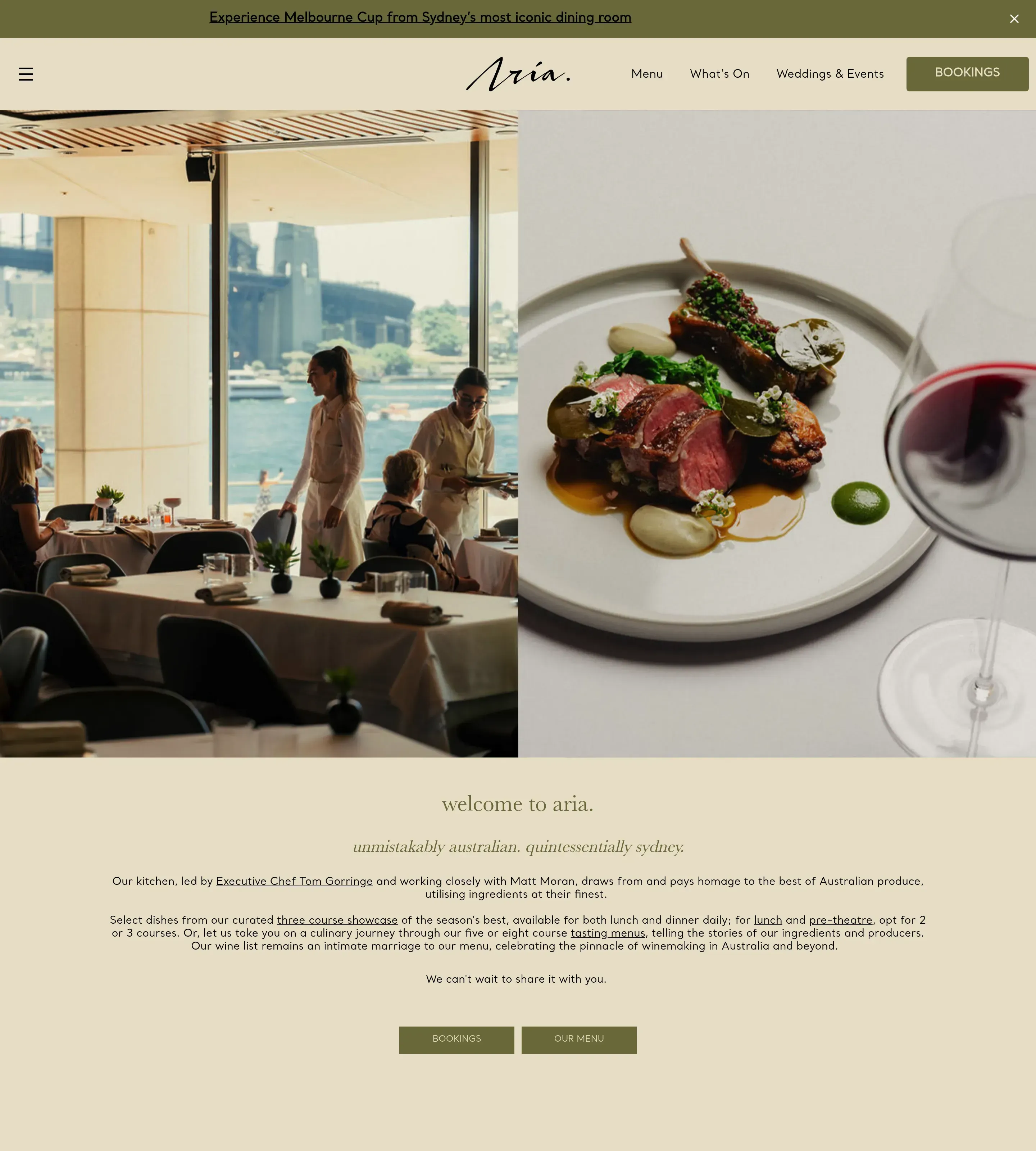 Homepage of Aria