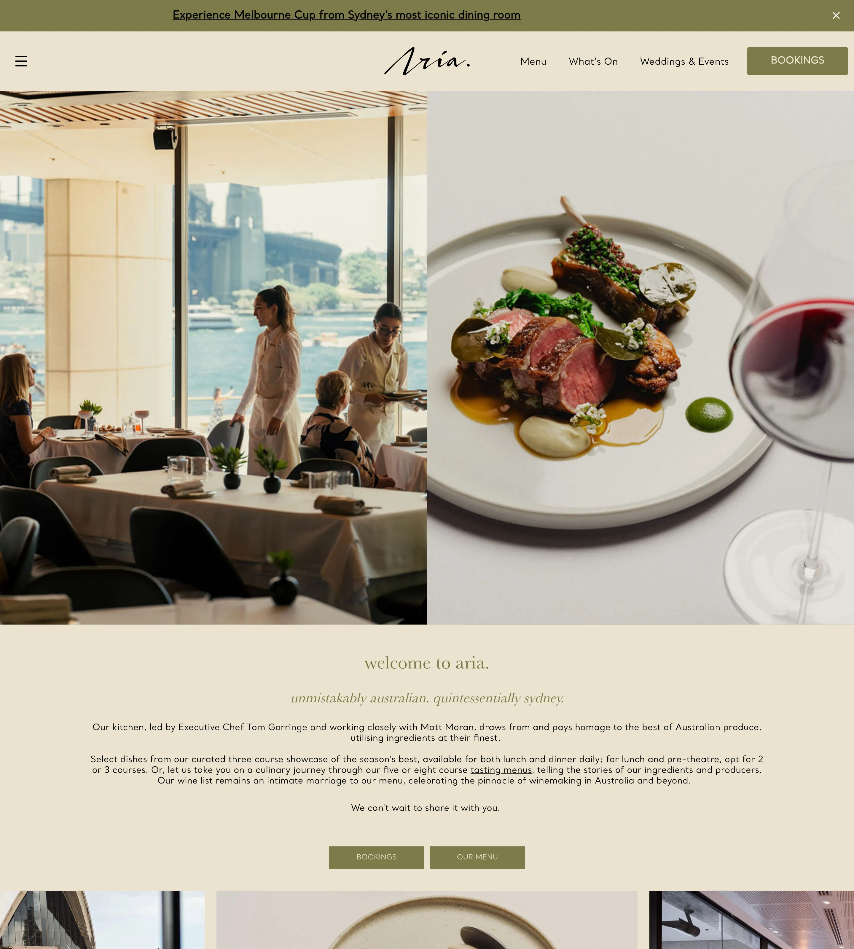 Homepage of Aria