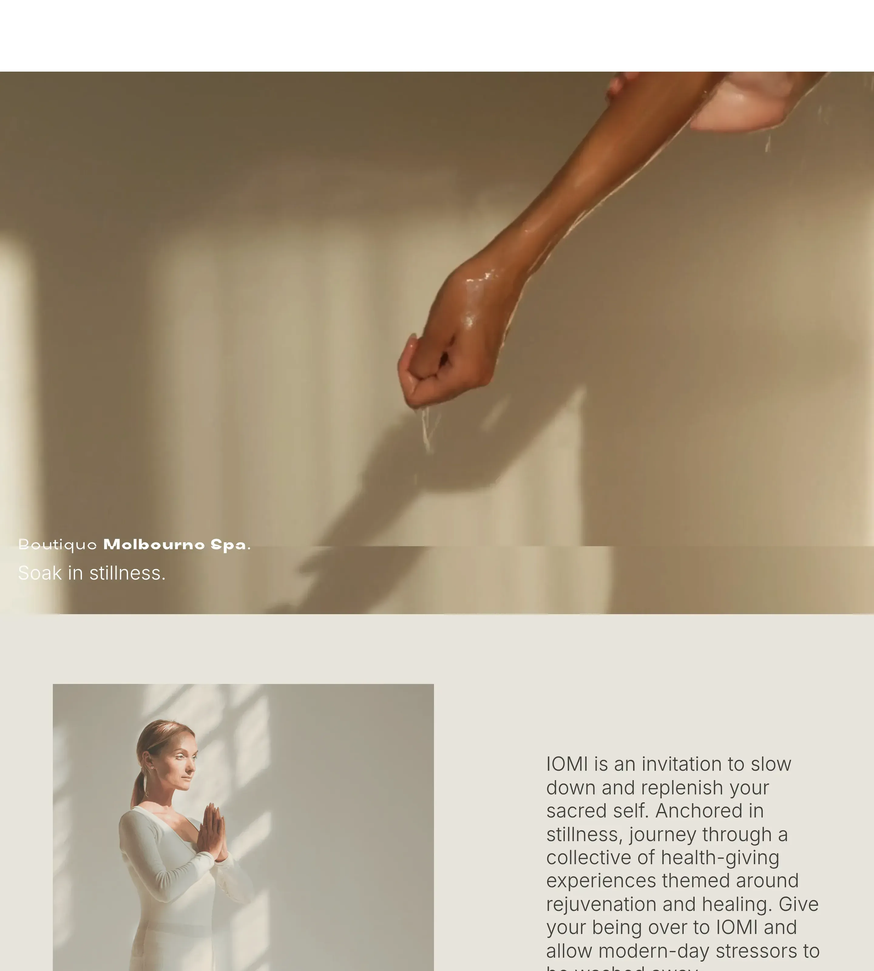 Homepage of IOMI