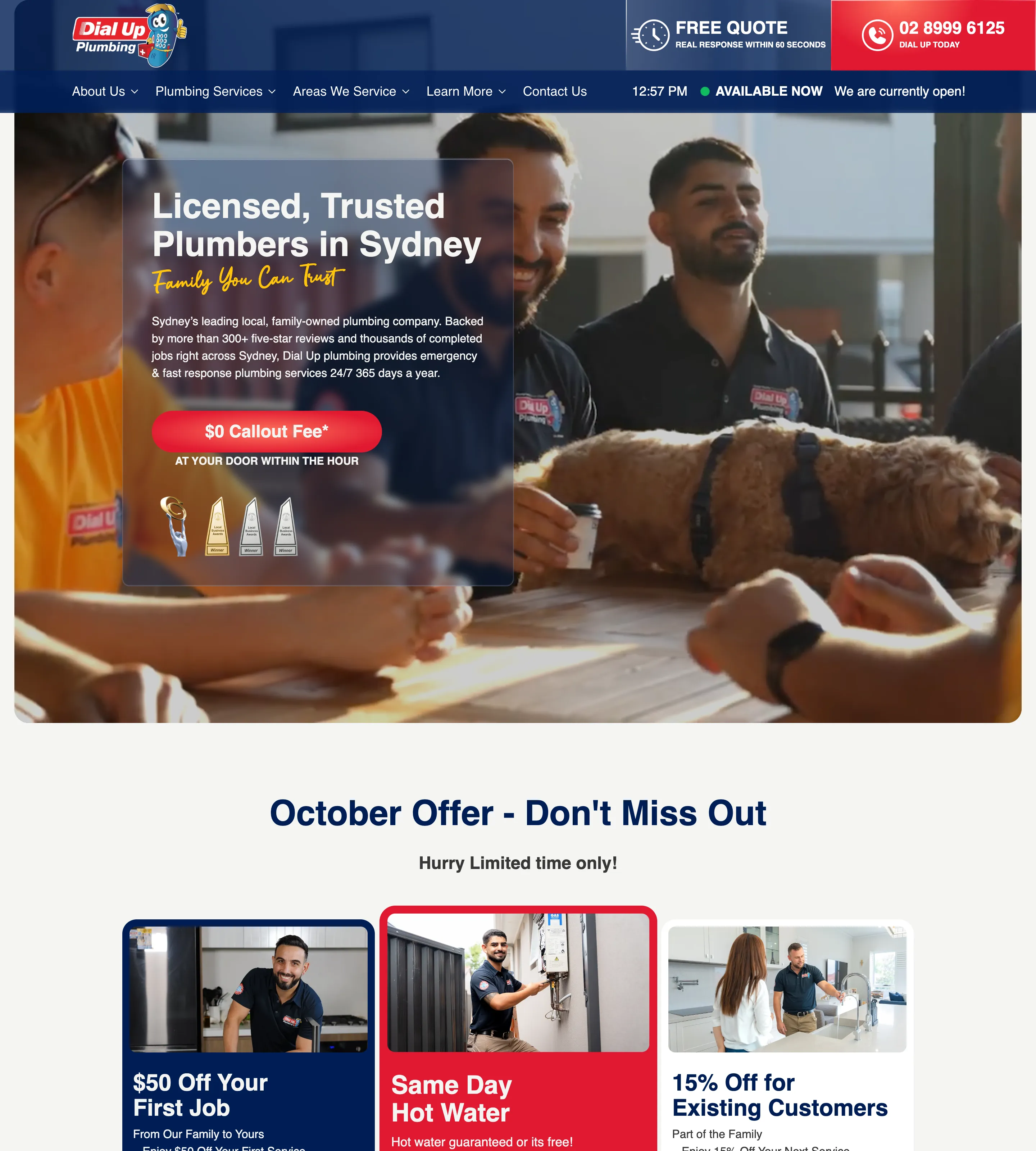 Homepage of Dial Up Plumbing